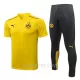 BVB Borussia Dortmund Polo za Trening 2022/23 Žuta