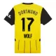 Dresovi Borussia Dortmund Wolf 17 Domaći 2024/25