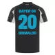 Dresovi Bayer Leverkusen Alejandro Grimaldo 20 Treći 2024/25